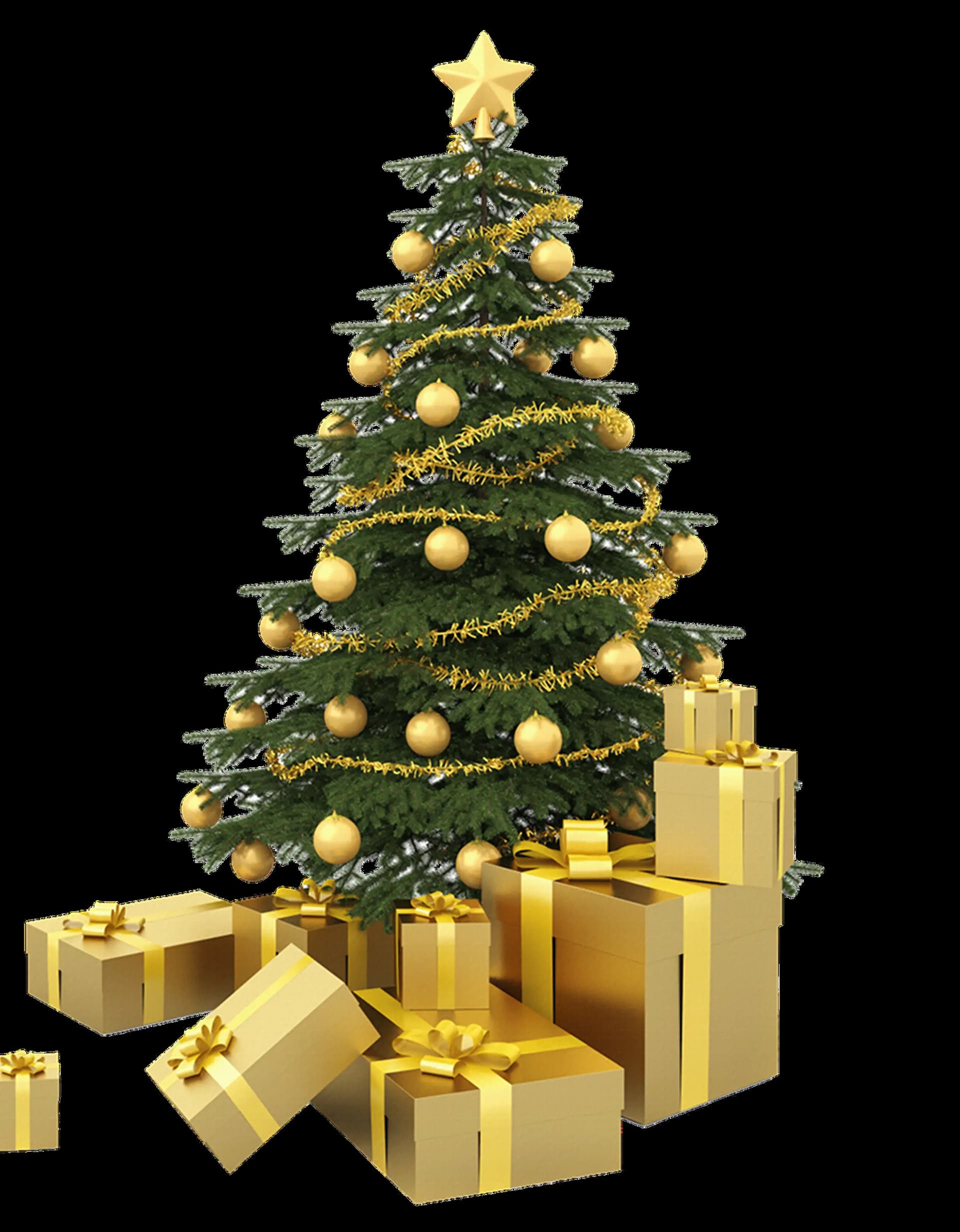 footer-tree